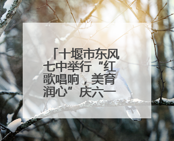 十堰市东风七中举行“红歌唱响，美育润心”庆六一合唱比赛