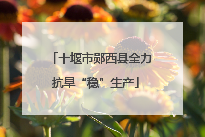 十堰市郧西县全力抗旱“稳”生产