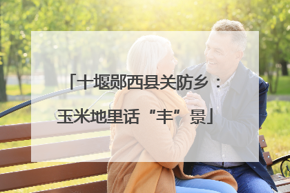 十堰郧西县关防乡：玉米地里话“丰”景