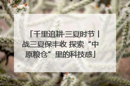 千里追耕·三夏时节丨战三夏保丰收 探索“中原粮仓”里的科技感