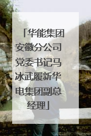 华能集团安徽分公司党委书记马冰武履新华电集团副总经理