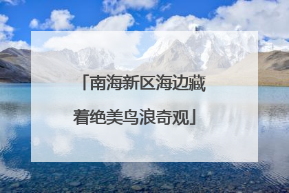 南海新区海边藏着绝美鸟浪奇观