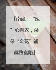 南漳：“医”心向农，朵朵“金花”铺就致富路