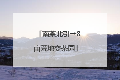 南茶北引→8亩荒地变茶园