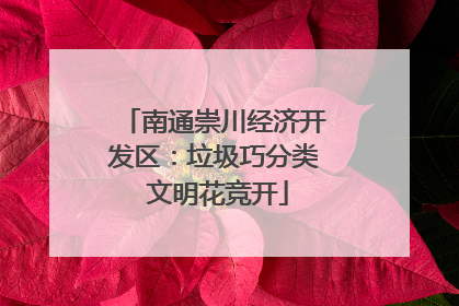 南通崇川经济开发区：垃圾巧分类 文明花竞开