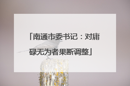 南通市委书记：对庸碌无为者果断调整