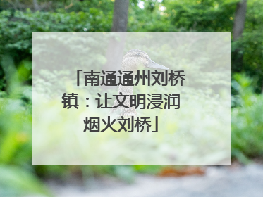 南通通州刘桥镇：让文明浸润烟火刘桥