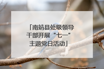 南靖县处级领导干部开展“七一”主题党日活动