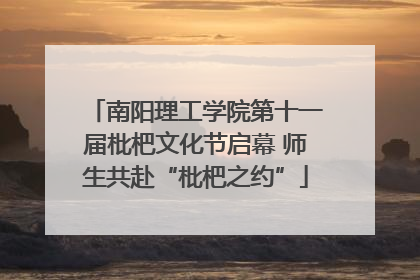 南阳理工学院第十一届枇杷文化节启幕 师生共赴“枇杷之约”