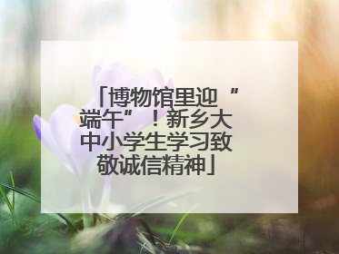 博物馆里迎“端午”！新乡大中小学生学习致敬诚信精神