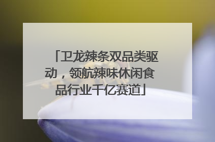 卫龙辣条双品类驱动，领航辣味休闲食品行业千亿赛道