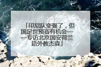 印尼队变强了，但国足世预赛有机会——专访北京国安荷兰籍外教杰森