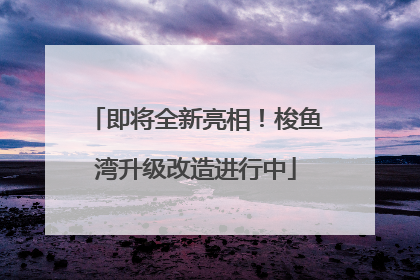 即将全新亮相！梭鱼湾升级改造进行中