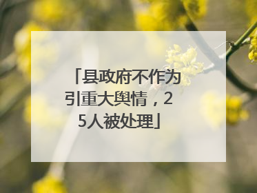 县政府不作为引重大舆情，25人被处理