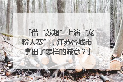 借“苏超”上演“宠粉大赛”，江苏各城市拿出了怎样的诚意？