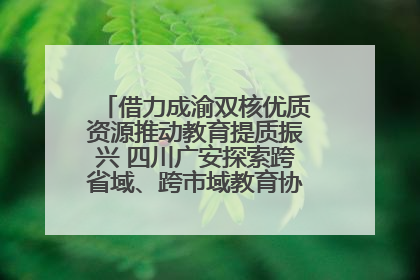 借力成渝双核优质资源推动教育提质振兴 四川广安探索跨省域、跨市域教育协同发展新路径