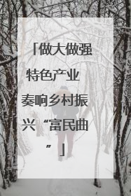 做大做强特色产业 奏响乡村振兴“富民曲”