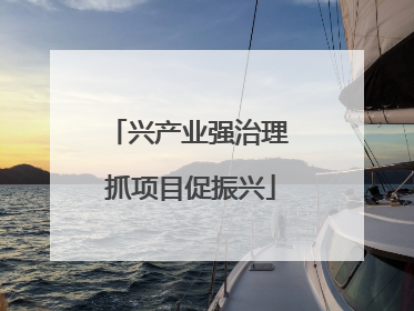 兴产业强治理 抓项目促振兴