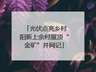 光伏点亮乡村 阳新上余村屋顶“金矿”并网记