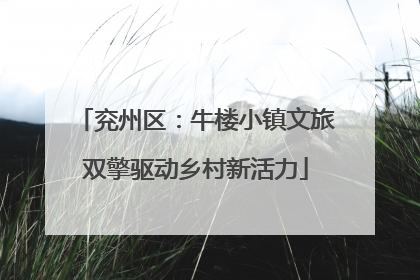 兖州区：牛楼小镇文旅双擎驱动乡村新活力