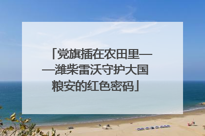党旗插在农田里——潍柴雷沃守护大国粮安的红色密码