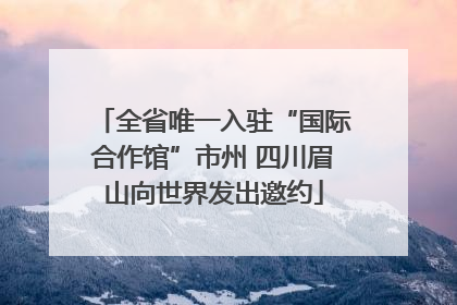 全省唯一入驻“国际合作馆”市州 四川眉山向世界发出邀约
