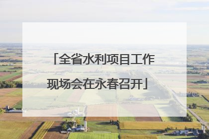 全省水利项目工作现场会在永春召开