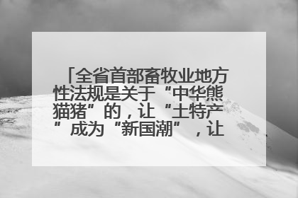 全省首部畜牧业地方性法规是关于“中华熊猫猪”的，让“土特产”成为“新国潮”，让“农产品”升格为“城市IP”
