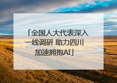 全国人大代表深入一线调研 助力四川加速拥抱AI