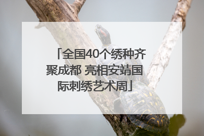全国40个绣种齐聚成都 亮相安靖国际刺绣艺术周