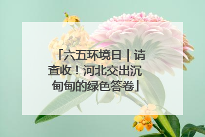 六五环境日｜请查收！河北交出沉甸甸的绿色答卷