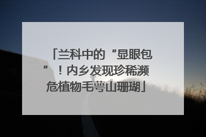 兰科中的“显眼包”！内乡发现珍稀濒危植物毛萼山珊瑚