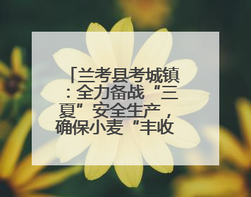 兰考县考城镇：全力备战“三夏”安全生产，确保小麦“丰收在仓”