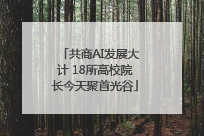 共商AI发展大计 18所高校院长今天聚首光谷