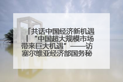 共话中国经济新机遇丨“中国超大规模市场带来巨大机遇”——访塞尔维亚经济部国务秘书尼科利奇