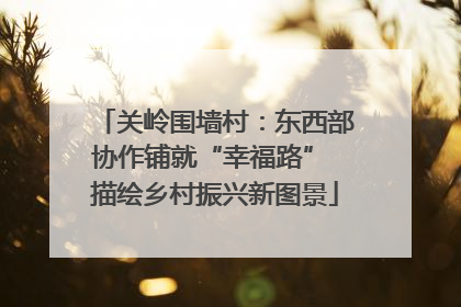 关岭围墙村：东西部协作铺就“幸福路” 描绘乡村振兴新图景