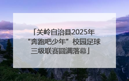 关岭自治县2025年“奔跑吧少年”校园足球三级联赛圆满落幕