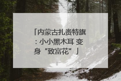 内蒙古扎赉特旗：小小黑木耳 变身“致富花”