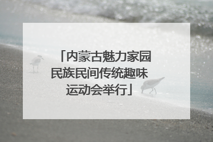 内蒙古魅力家园民族民间传统趣味运动会举行