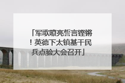 军歌嘹亮誓言铿锵！英德下太镇基干民兵点验大会召开