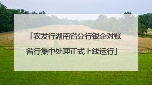 农发行湖南省分行银企对账省行集中处理正式上线运行