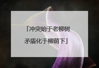 冲突始于老柳树 矛盾化于柳荫下