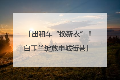 出租车“换新衣”！白玉兰绽放申城街巷