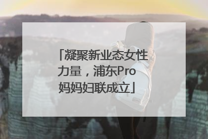 凝聚新业态女性力量，浦东Pro妈妈妇联成立