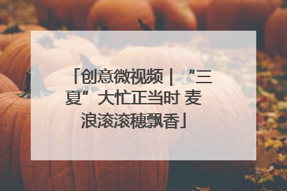 创意微视频｜“三夏”大忙正当时 麦浪滚滚穗飘香