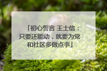 初心誓言 王士信：只要还能动，就要为党和社区多做点事