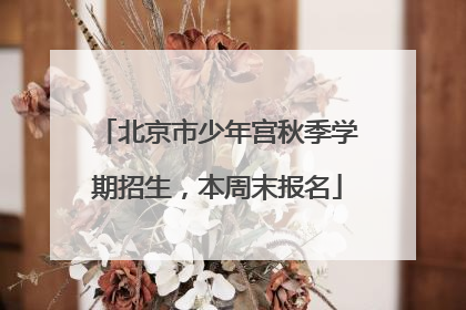 北京市少年宫秋季学期招生，本周末报名