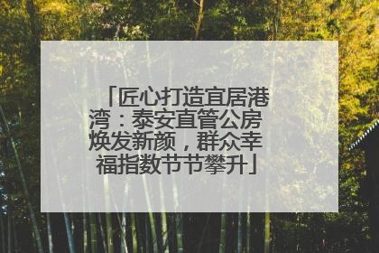 匠心打造宜居港湾：泰安直管公房焕发新颜，群众幸福指数节节攀升