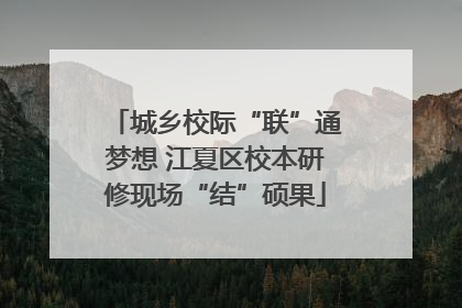 城乡校际“联”通梦想 江夏区校本研修现场“结”硕果