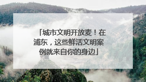 城市文明开放麦！在浦东，这些鲜活文明案例就来自你的身边